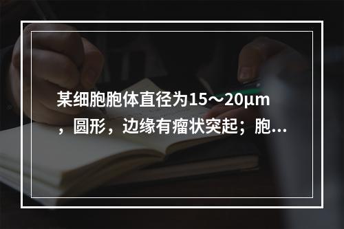 某细胞胞体直径为15～20μm，圆形，边缘有瘤状突起；胞核圆