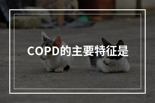 COPD的主要特征是