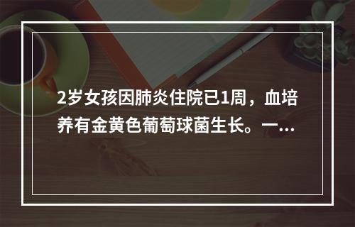 2岁女孩因肺炎住院已1周，血培养有金黄色葡萄球菌生长。一直使