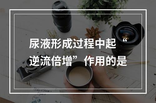 尿液形成过程中起“逆流倍增”作用的是