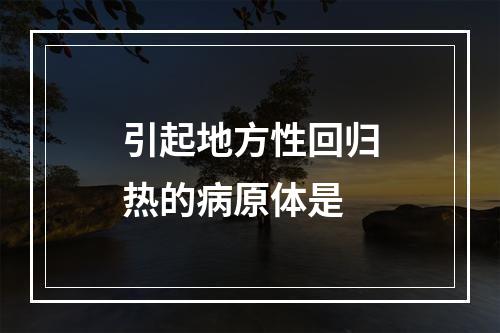 引起地方性回归热的病原体是