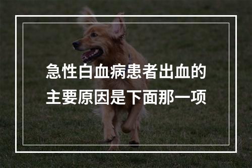 急性白血病患者出血的主要原因是下面那一项