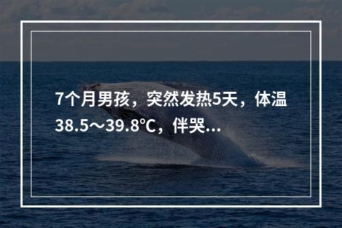 7个月男孩，突然发热5天，体温38.5～39.8℃，伴哭闹烦