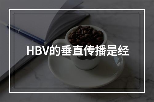 HBV的垂直传播是经