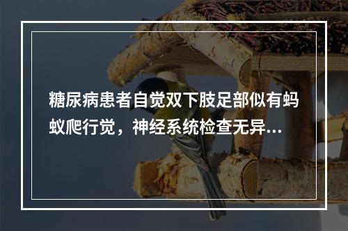 糖尿病患者自觉双下肢足部似有蚂蚁爬行觉，神经系统检查无异常。