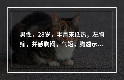 男性，28岁，半月来低热，左胸痛，并感胸闷，气短，胸透示：左