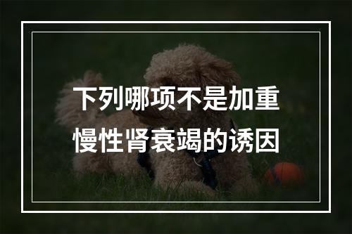 下列哪项不是加重慢性肾衰竭的诱因