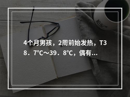 4个月男孩，2周前始发热，T38．7℃～39．8℃，偶有轻咳