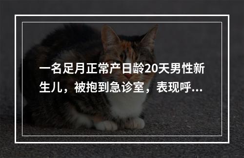 一名足月正常产日龄20天男性新生儿，被抱到急诊室，表现呼吸急