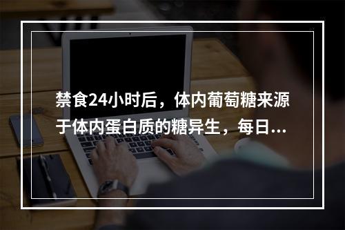 禁食24小时后，体内葡萄糖来源于体内蛋白质的糖异生，每日约耗