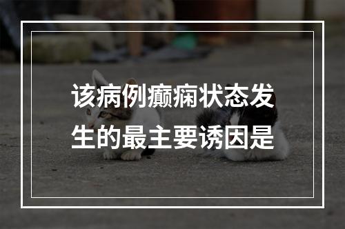 该病例癫痫状态发生的最主要诱因是