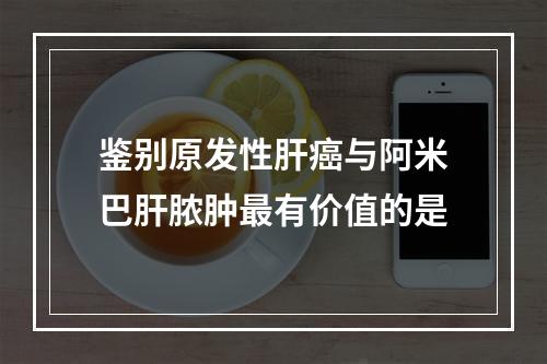 鉴别原发性肝癌与阿米巴肝脓肿最有价值的是