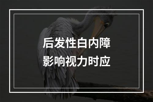 后发性白内障影响视力时应