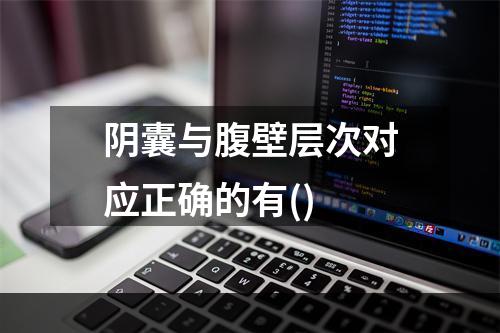 阴囊与腹壁层次对应正确的有()