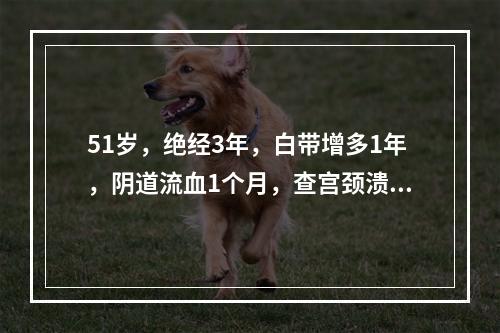 51岁，绝经3年，白带增多1年，阴道流血1个月，查宫颈溃疡状