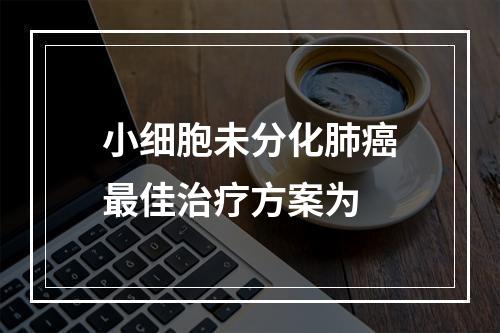 小细胞未分化肺癌最佳治疗方案为