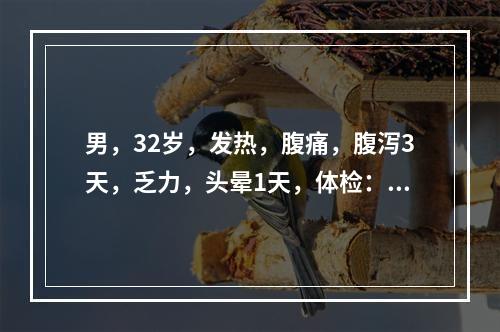 男，32岁，发热，腹痛，腹泻3天，乏力，头晕1天，体检：T3