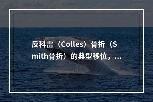 反科雷（Colles）骨折（Smith骨折）的典型移位，是