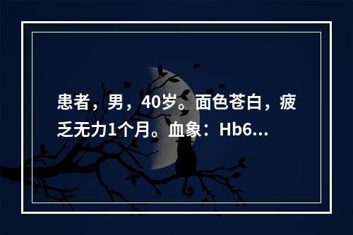 患者，男，40岁。面色苍白，疲乏无力1个月。血象：Hb60g