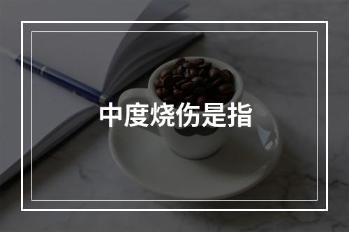 中度烧伤是指