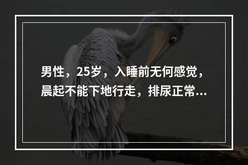 男性，25岁，入睡前无何感觉，晨起不能下地行走，排尿正常。体