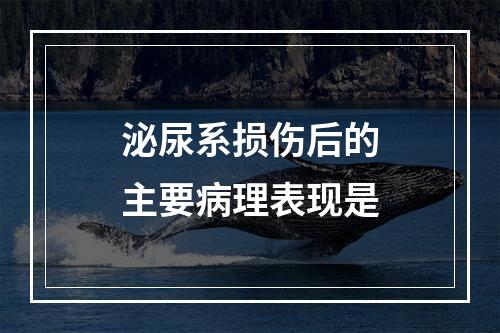 泌尿系损伤后的主要病理表现是