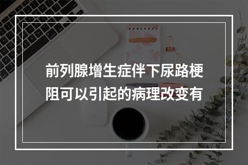 前列腺增生症伴下尿路梗阻可以引起的病理改变有