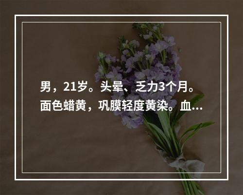 男，21岁。头晕、乏力3个月。面色蜡黄，巩膜轻度黄染。血象：