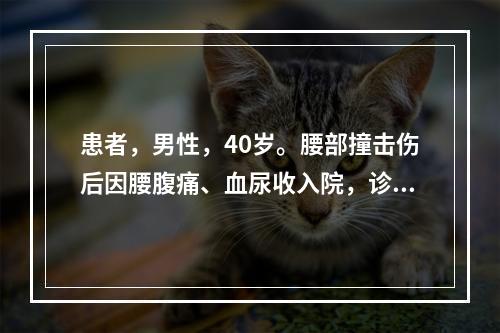 患者，男性，40岁。腰部撞击伤后因腰腹痛、血尿收入院，诊断为