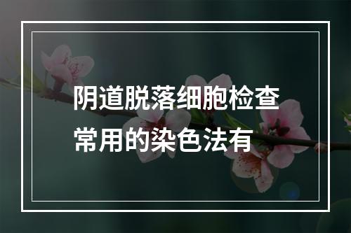 阴道脱落细胞检查常用的染色法有