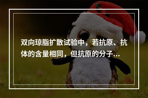 双向琼脂扩散试验中，若抗原、抗体的含量相同，但抗原的分子量比