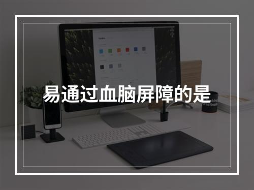 易通过血脑屏障的是