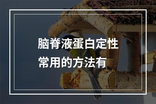 脑脊液蛋白定性常用的方法有