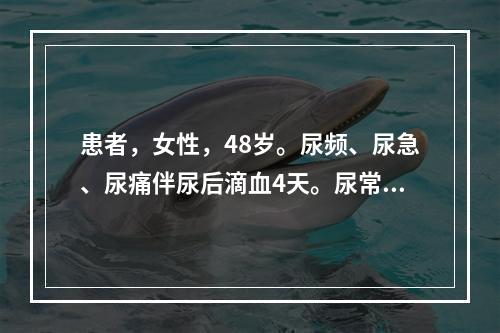 患者，女性，48岁。尿频、尿急、尿痛伴尿后滴血4天。尿常规示