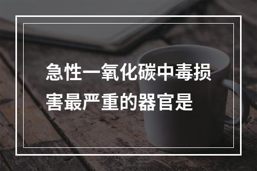 急性一氧化碳中毒损害最严重的器官是