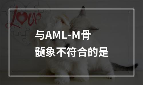 与AML-M骨髓象不符合的是