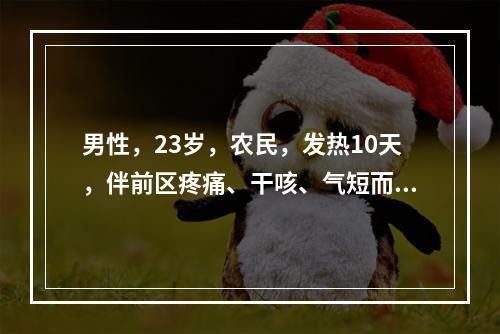 男性，23岁，农民，发热10天，伴前区疼痛、干咳、气短而来门