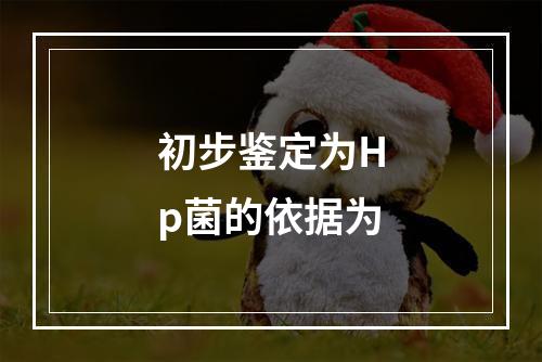 初步鉴定为Hp菌的依据为