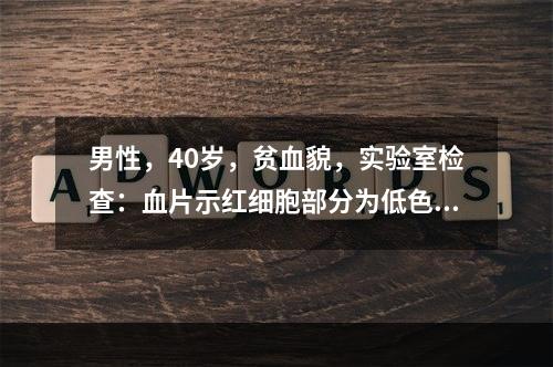 男性，40岁，贫血貌，实验室检查：血片示红细胞部分为低色素，