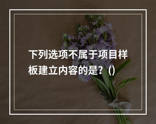 下列选项不属于项目样板建立内容的是？()