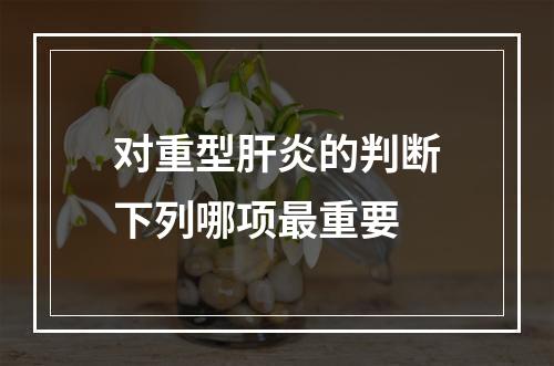 对重型肝炎的判断下列哪项最重要