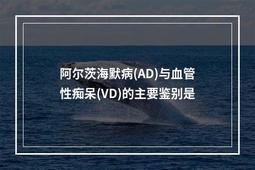 阿尔茨海默病(AD)与血管性痴呆(VD)的主要鉴别是