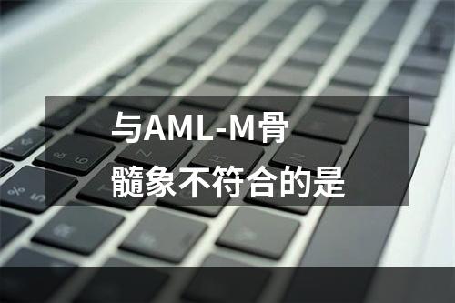 与AML-M骨髓象不符合的是