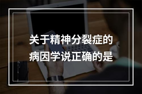 关于精神分裂症的病因学说正确的是