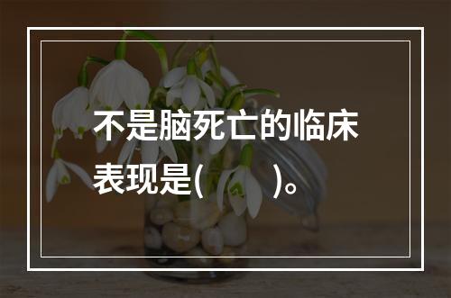 不是脑死亡的临床表现是(　　)。