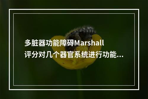 多脏器功能障碍Marshall评分对几个器官系统进行功能评分