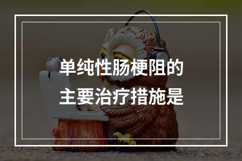 单纯性肠梗阻的主要治疗措施是