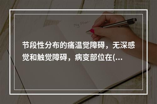 节段性分布的痛温觉障碍，无深感觉和触觉障碍，病变部位在(　　