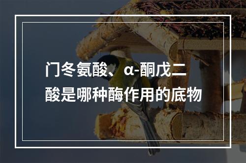 门冬氨酸、α-酮戊二酸是哪种酶作用的底物