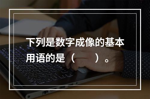 下列是数字成像的基本用语的是（　　）。